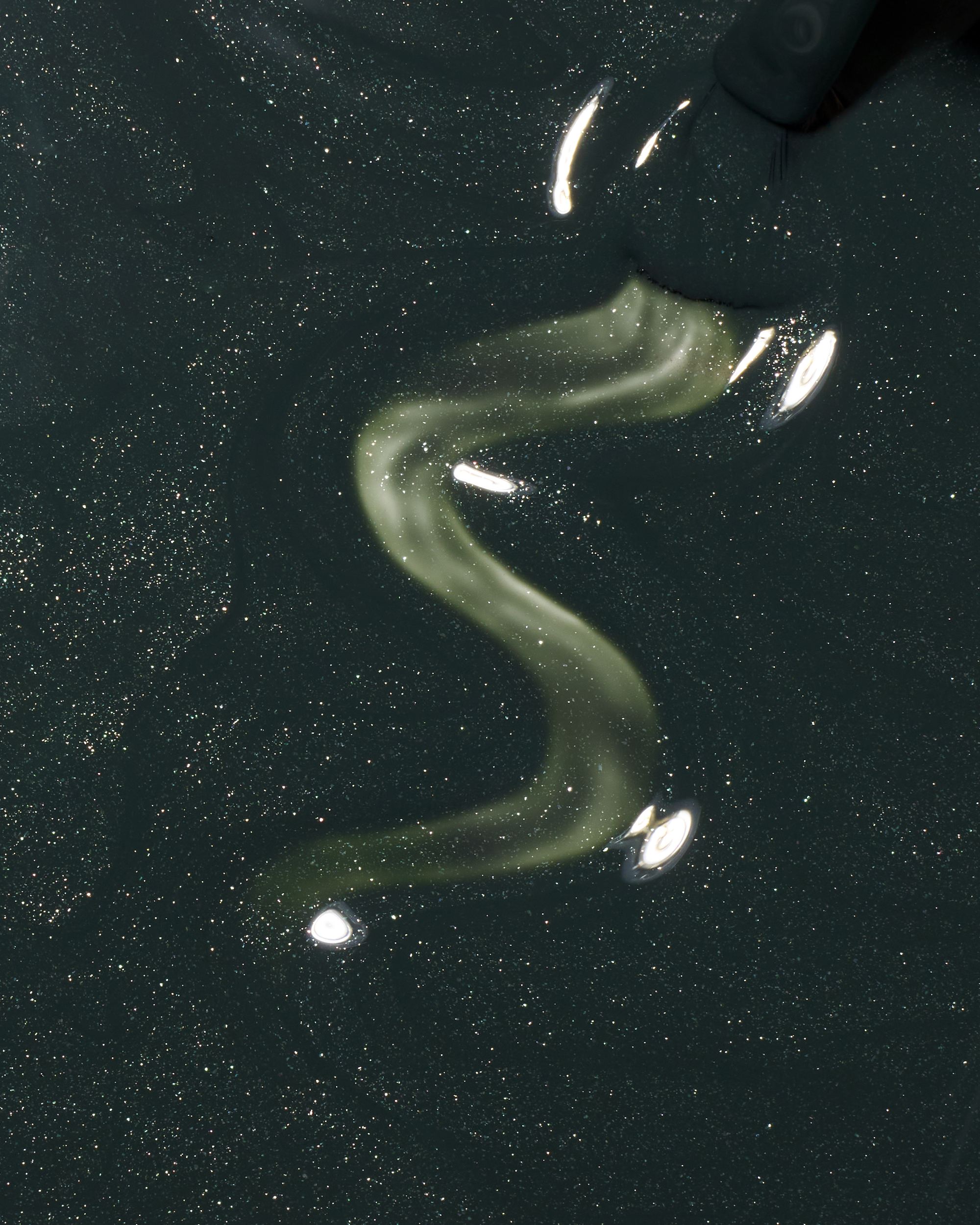 The Restricted Section