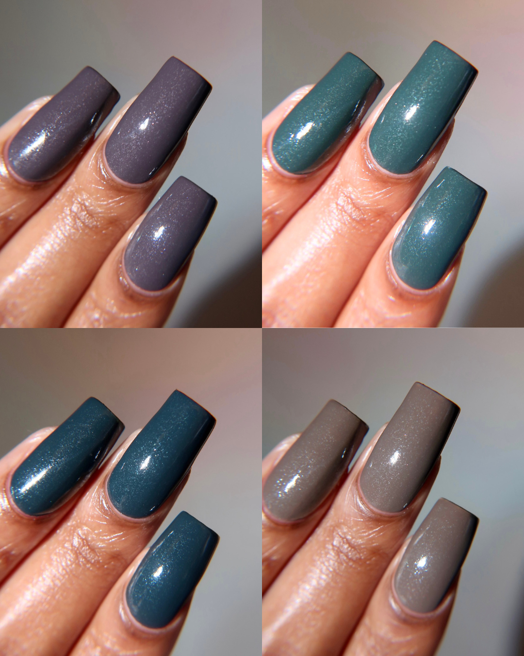 Secrets in the Library Full Collection Bundle